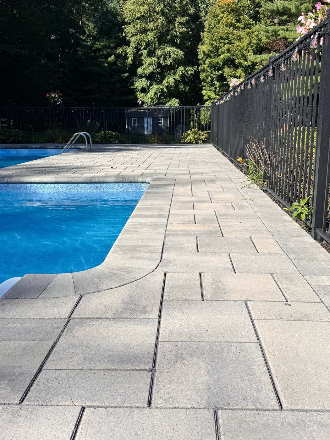 Paver pool deck along a black fence with freshly sanded polymeric joints